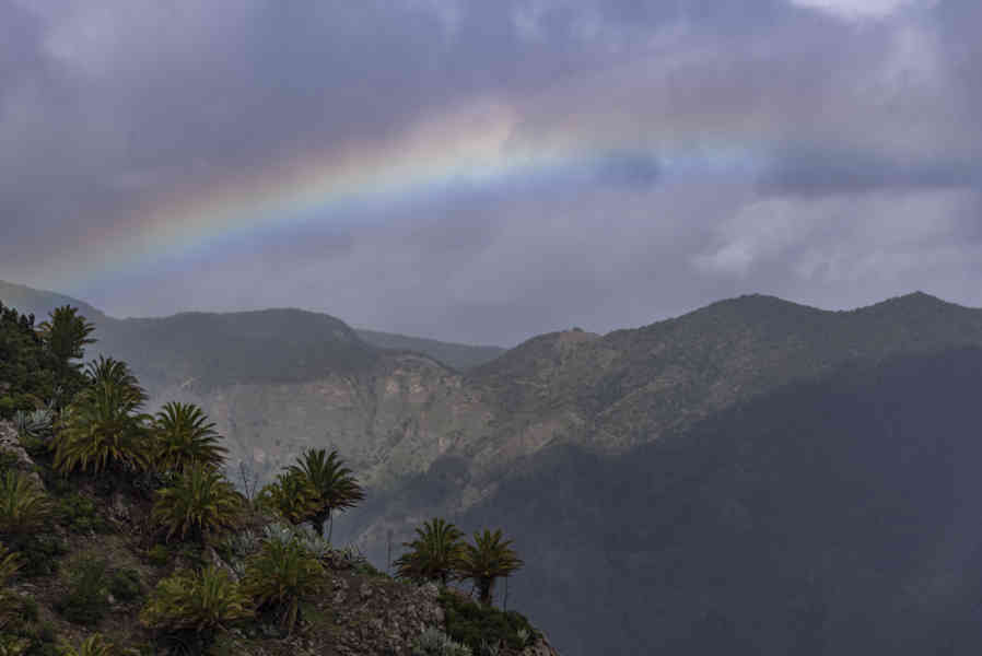 La Gomera 31 .jpg